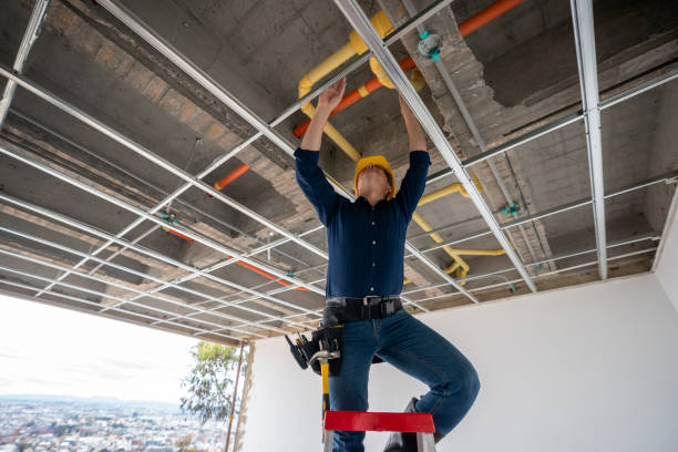 Best Emergency Plumber  in Gridley, IL