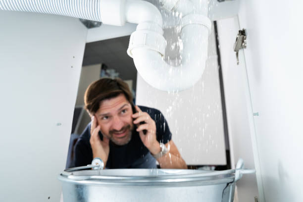 Best Sprinkler Systems  in Gridley, IL