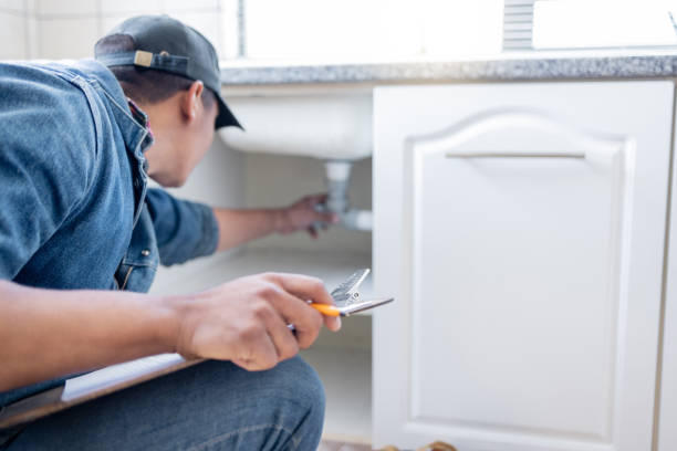 Best Toilet Repair Services  in Gridley, IL