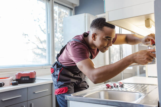 Best Same-Day Plumbing Service  in Gridley, IL