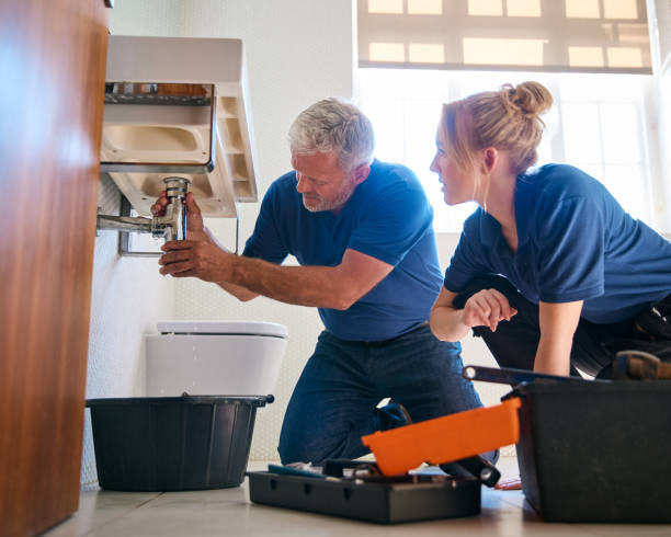 Best Affordable Plumber Near Me  in Gridley, IL