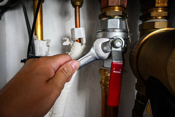 Best Sewer Line Repair  in Gridley, IL